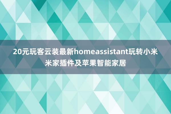 20元玩客云装最新homeassistant玩转小米米家插件及苹果智能家居